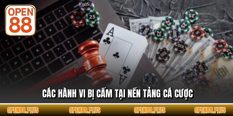 Các hành vi bị cấm tại nền tảng cá cược