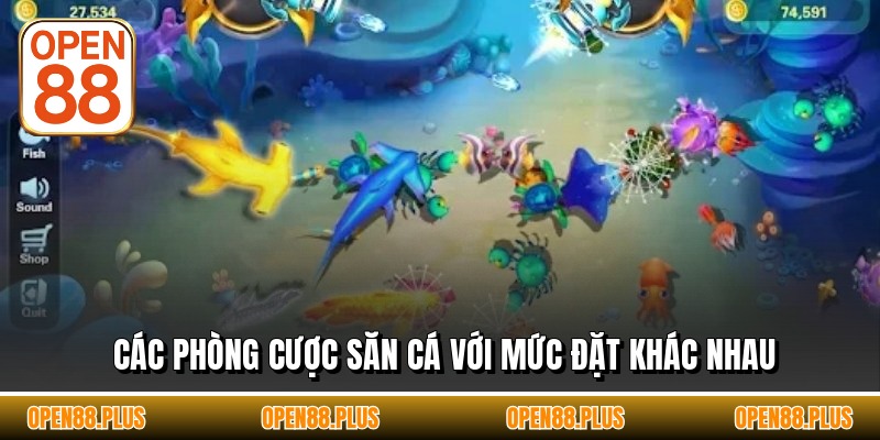 Các phòng cược săn cá với mức đặt khác nhau