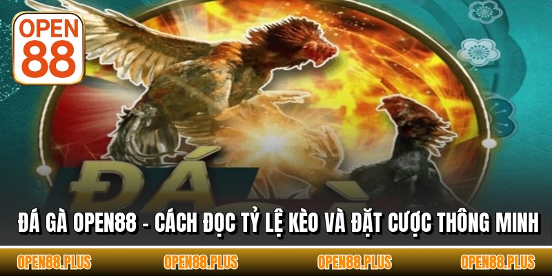 Đá Gà OPEN88 - Cách Đọc Tỷ Lệ Kèo Và Đặt Cược Thông Minh