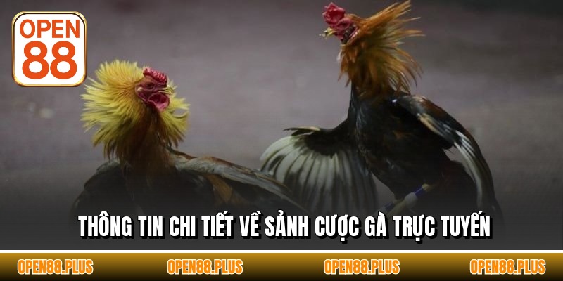 Thông tin chi tiết về sảnh cược gà trực tuyến